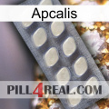 Apcalis 08